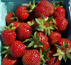24Summer StrawberriesLisa Cartwright Onondaga County