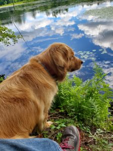 67Cloud-spotting with Creek Linda DangesOswego County