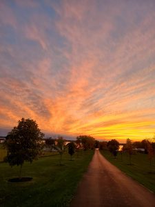 21The Road Home Dale Wright Cayuga County