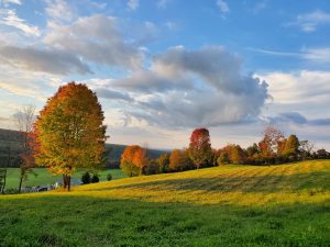 17Classic Autumn View on the Gorge TrailKate Stewart Madison