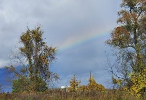 48Rainbows and silosEdward Gasparini Oswego