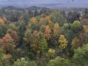 28Autumn RaindropsJoy Higuchi Onondaga