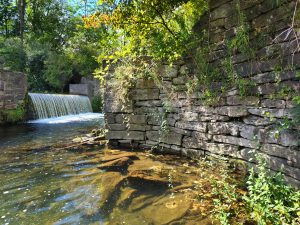 49 																											Chenango Canal Aqueduct Remains	Nick ViscosiMadison