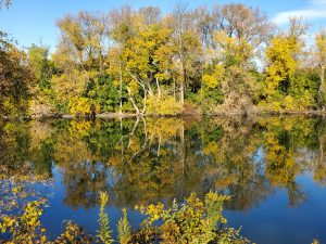 50 																																											Walking Beside The CanalPaul Salsbury		Oneida