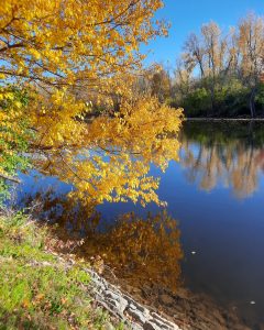 54 																																											October Along the Old Erie Canal	Scott Trefz	Onondaga