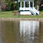 45 																																																																																	Reflection in Hoopes Park Pond																			Suzanne Robison																Cayuga