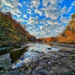 46 																																																																																											
River ReflectionsDianne Whorrall																																																																																																																													Oswego