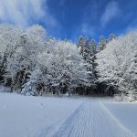 27 																																																																																											
The Best Winter in Years!							Kate Stewart																																																																																																																																								Onondaga
