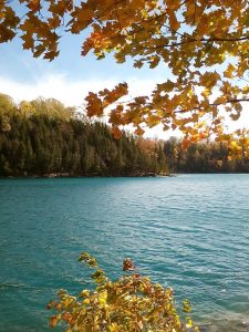 4Green Lakes State Park Darlene Stedman  Onondaga County