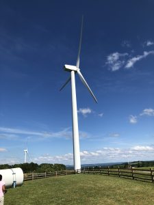 50Fenner Wind Farm  Lauren Wiggins Madison County