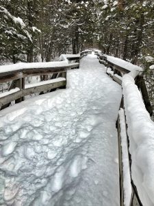 87 Winter BoardwalkMichael Brennan Onondaga County