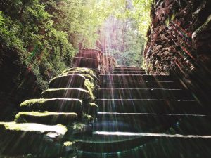 90Steps of glory Sondra LucianovicSchuyler County