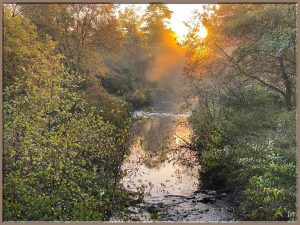 49 																																										Up the Creek	Jody Davis	Oswego