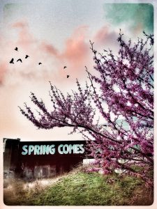 77Spring Always Comes Rebecca Sheridan   Onondaga County