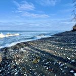 17 																																																																																											
Winter Blues		Tracey Laszlo																																																																																																																																					Cayuga
