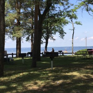75Cooling off with shade and a lake Emily Garrett Oneida County