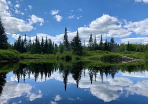 38Reflections on the Moose RiverSusan O’Meara Oneida County