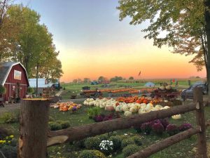 11Pumpkin Farm Chris MauroOnondaga County