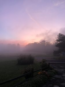 74Misty MorningErika Fiutak Onondaga County