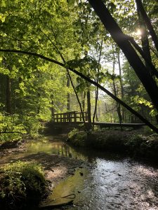 58Morning Light  Kate Elstad   Onondaga County