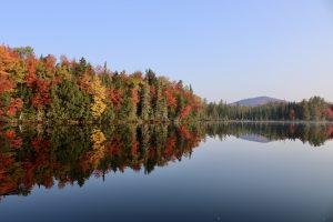 57Peaceful morning Phil Galuppi Herkimer County