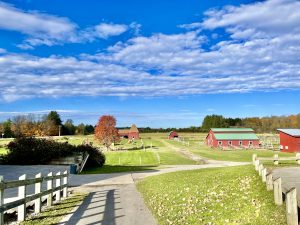 52 The Many Colors of Fall Carol Vander Voort Madison