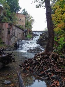 89Wells Falls (Businessman's Lunch Falls)Darlene Stedman Tompkins County