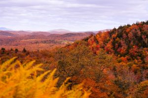 25 																																						Scenic Ski Lift to ParadiseJohn Lukach	Herkimer