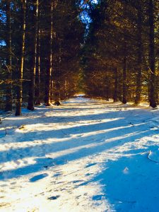 72My Backyard in Holland PatentElisabeth Mitchell Oneida County