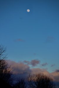 57											Valentine’s Day Moon				Elizabeth LaMayMadison