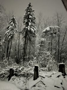 31 	During the Storm at 4 am	Mac MikalunasChenango