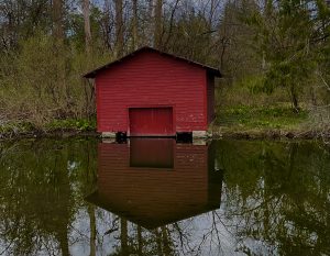 58 									Springtime Along Cazenovia Lake Outlet	Cynthia BellMadison