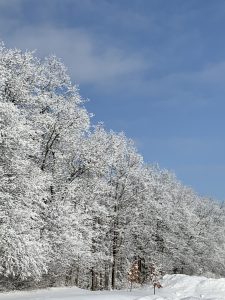 94 Winter MagicPatty Owens Onondaga County