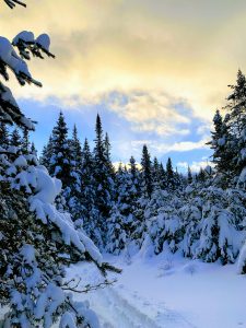 50Evening skiMeg MulvihillHerkimer County