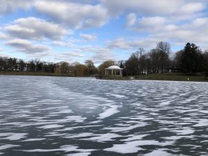 50 																																																											Gazebo in WinterMichael Byron				Onondaga