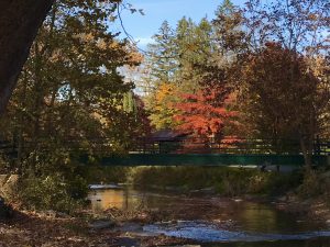 57 																																													Bridge in Marcellus Park	Linda Church	Onondaga