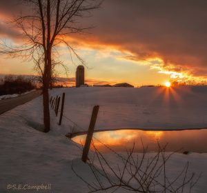 26Countryside WinterSusan Campbell Oneida County