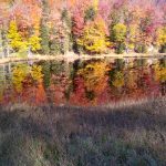 9 																																																																																											
Reflection in Old Forge																																																																	Patrick Babiarz																																														Herkimer