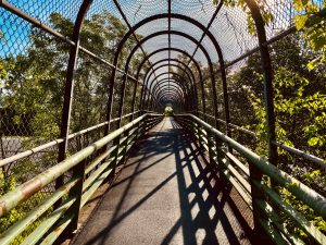 2A Cage of Summer’s LightBrendan Todt Onondaga County