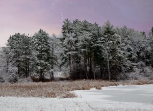 97Evening snowAnn OliverOnondaga County