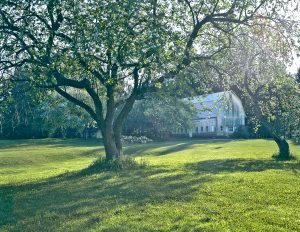 20Spring Orchard Roy Senn  Oneida County