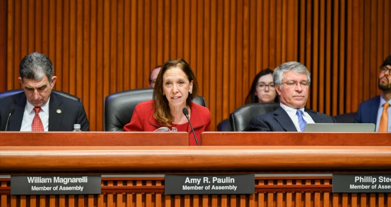 Assemblymember Amy Paulin speaks at hearing