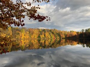 47Autumn Reflection Bridget Dolbear Oswego  County