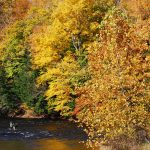 13 																																																																																											
Autumn at the River																																																																				Jody Davis																																																Oswego