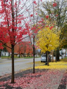 63Autumn in Rome, New YorkKathleen Skavina Oneida County