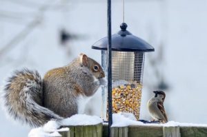 16MY food! Not yours!  Kristen Schad  Cortland County