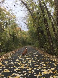 43Onondaga Lake Park TrailCady Huebner Onondaga County