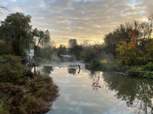 37Morning walk Catherine Byrnes  Madison