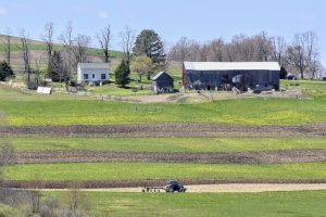 63Springtime on the farm Jeff Fitzpatrick   Onondaga County