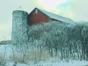 82Sweet Road in Jamesville NYPatri Welch Onondaga County